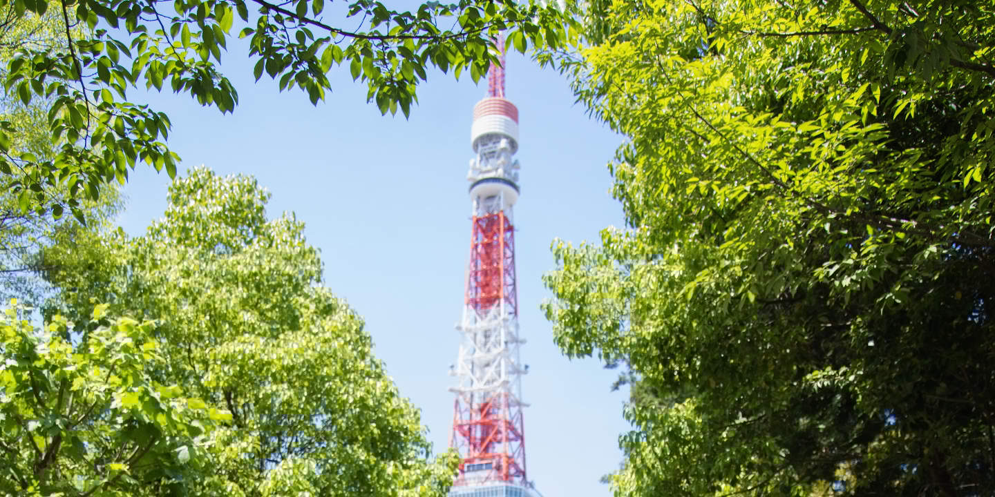 Tokyo: Wedding Photo Tour dengan 3 Lokasi & Pro Styling